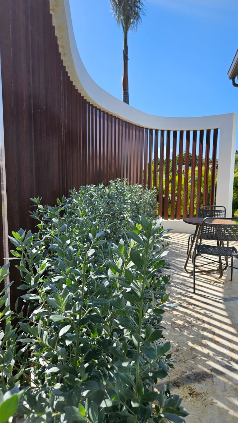 WhatsApp Image 2025-11-26 at 10.09.08 AM